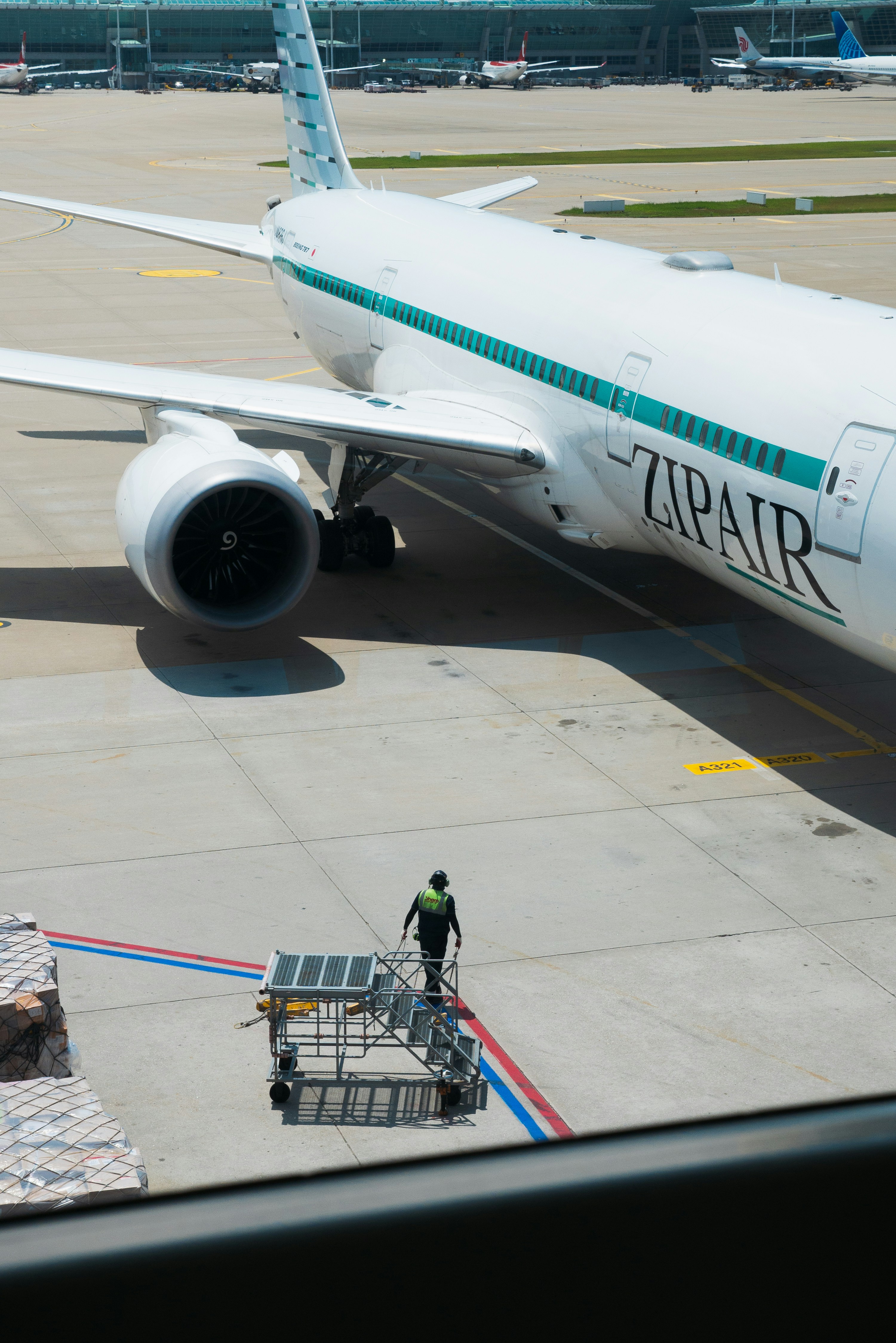 Assistant Import-Export